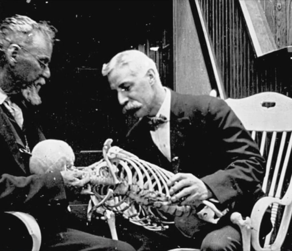 ¿QUÉ ES LA OSTEOPATÍA?