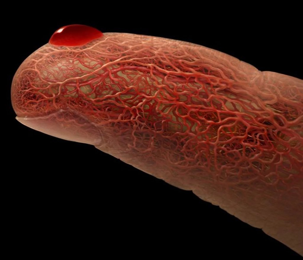 TYPES OF OSTEOPATHIC TECHNIQUES